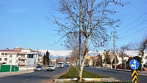 Lütfi Köker Bulvarı Refüj Çalışması
