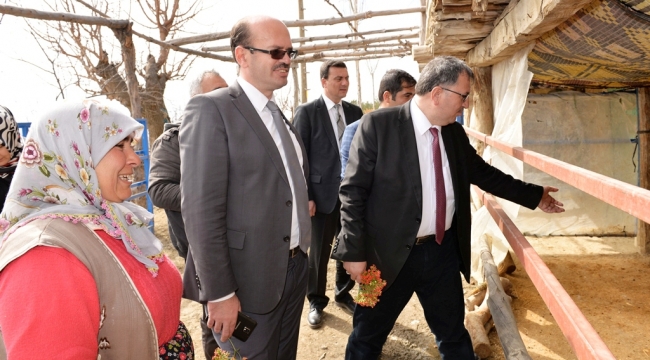 GENÇ ÇİFTÇİ PROJESİNDE YÜZLER GÜLÜYOR