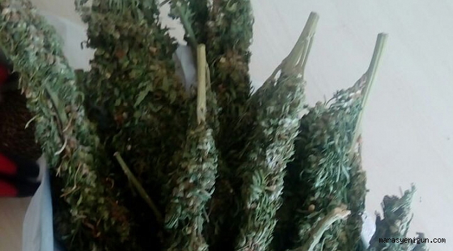GÜVERCİN KÜMESİNE UYUŞTURUCU OPERASYONU