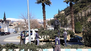 Kahramanmaraş’ta Rüzgar Çatıları Uçurdu, Ağaçları Kökünden Söktü