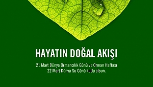 AKBOLAT : ORMAN VARSA SU DA VAR