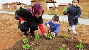 ANA SINIFI ÖĞRENCİLERİ TOPRAKLA BULUŞTU
