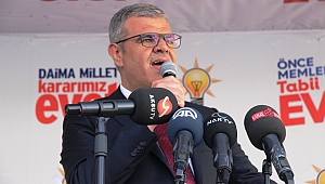 BAŞBAKAN YARDIMCISI KAYNAK: 