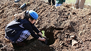 BÜYÜKŞEHİR’DEN AĞAÇ VE  FİDAN DİKİMİ
