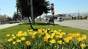 BÜYÜKŞEHİR’İN CADDELERİNDE RENK CÜMBÜŞÜ