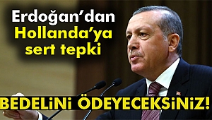 Cumhurbaşkanı Erdoğan'dan önemli Hollanda açıklaması