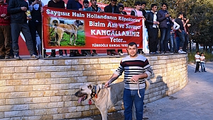 TÜRKOĞLU'NDAN HOLLANDA'YA TEPKİ