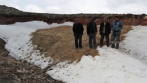 YAZIN YEMEK İÇİN SAMAN ALTINDA KAR SAKLIYORLAR