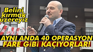 Bakan Soylu: 'Dağ fareleri olarak kaçıyorlar'