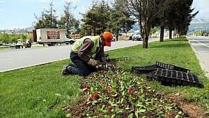 BÜYÜKŞEHİR’DEN MEVSİMLİK ÇİCEK DİKİMİ