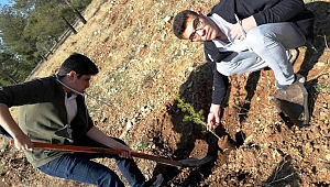 HERKESİN BİR DİKİLİ AĞACI OLSUN PROJESİ KAPASAMINDA FİNAL’İN FİDANLARI TOPRAKLA BULUŞTU