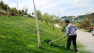 MENZELET’TE ÇİMLER BİÇİLİYOR