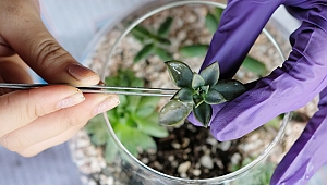 ANNELER İLE ÇOCUKLARI TERARYUM ATÖLYESİNDE BULUŞUYOR