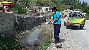 BÜYÜKŞEHİR’DEN BÜTÜN İLÇELERDE İLAÇLAMA