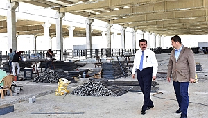 CANLI HAYVAN BORSASI’NDA İNCELEME