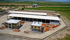 CANLI HAYVAN BORSASINDA SONA DOĞRU