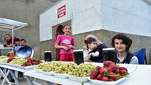 DULKADİROĞLU DUT SATIŞ NOKTASI'NDA SEZON AÇILDI