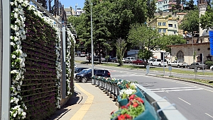 DUVARLAR DA ÇİÇEK AÇTI