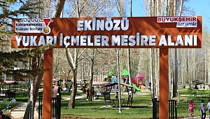 EKİNÖZÜ MESİRE ALANI VATANDAŞLARDAN YOĞUN İLGİ GÖRÜYOR