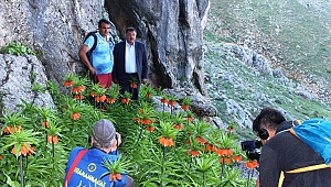 EKİNÖZÜ’NDE ’AĞLAYAN GELİN ‘’ LALE FESTİVALİ  