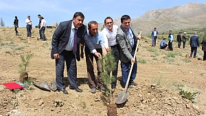 EKİNÖZÜ’NDE KARAKOÇ ANISINA HATIRA ORMANI