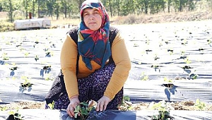 GENÇ ÇİFTÇİLERDE YÜZLER GÜLÜYOR