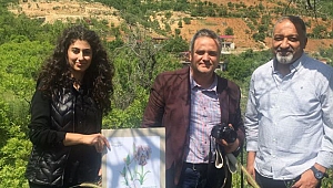 KSÜ ORMAN FAKÜLTESİ,YÜRÜTTÜĞÜ PROJEYLE MARAŞ KURTKULAĞI’NA DİKKAT ÇEKTİ