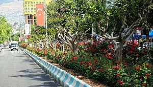 REFÜJLER GÜLLERLE DONATILDI