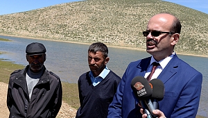 YEDİKUYULAR YAYLASINDAKİ HAYVANLARIN SU HASRETİ SONA ERDİ