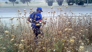 BÜYÜKŞEHİR’DEN ÇEVRE TEMİZLİĞİ