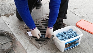 BÜYÜKŞEHİR'DEN KEMİRGEN MÜCADELESİ