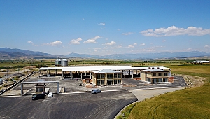 CANLI HAYVAN BORSASI TAMAMLANIYOR