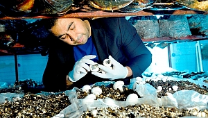 GENÇ ÇİFTÇİ DESTEKLERİ İLE HAYALLER GERÇEKLEŞİYOR...