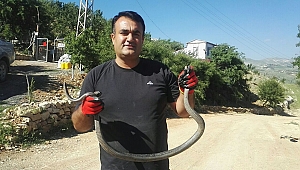 SU DEPOSUNA DÜŞEN YILANI KURTARMA OPERASYONU