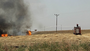 ANIZ YAKAN GELECEGİNİ YAKAR.