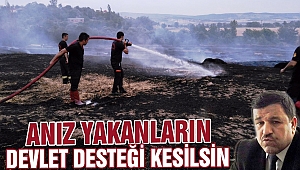 ANIZ YAKANLARIN DEVLET DESTEĞİ KESİLSİN