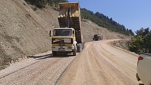 BÜYÜKŞEHİR’DEN FİLLER SERİMİ