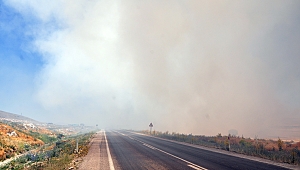 ÇÖL SICAKLARI ÇÖPLÜKTE YANGINA NEDEN OLDU
