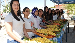 ELBİSTAN KAYISISININ TANITIMI İÇİN İLK KAPSAMLI ADIM ATILDI