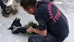 İTFAİYEDEN ‘KARGA’ OPERASYONU 