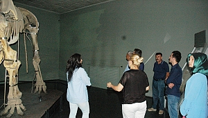 KAHRAMANMARAŞ'IN FİL MÜZESİ