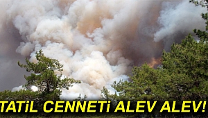 MARMARİS'TE ORMAN YANGINI !