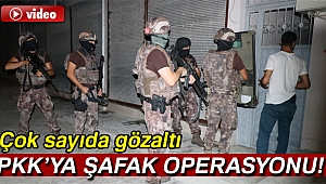 Adana’da PKK’ya şafak vakti operasyon: 20 gözaltı