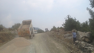 ARIKLAR YOLU’NDA FİLLER ÇEKİMİ