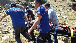 KURBANLIK DANANIN SALDIRISINA UĞRADI