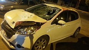 ARACIN ÇARPTIĞI İNEĞE BAKMAK İÇİN KARŞIYA GEÇERKEN CANINDAN OLDU