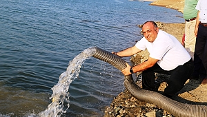 BARAJLARA 770 BİN SAZAN BALIĞI BIRAKILDI