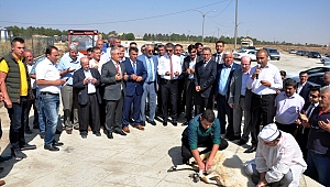 ELBİSTAN ŞEKER FABRİKASI'NDA PANCAR ALIMINA BAŞLANDI