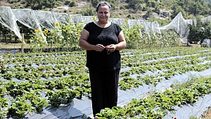 HOBİSİ MESLEĞİ OLDU