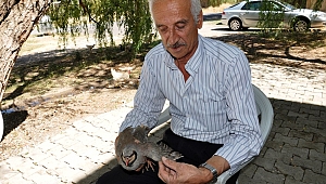KAÇAK AVDA KULLANILAN KEKLİĞE VATANDAŞ SAHİP ÇIKTI